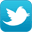 twitter icon